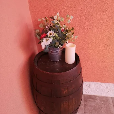 Family Pool & Caparica